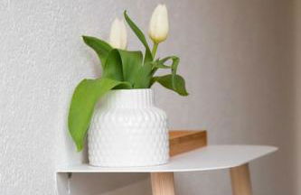 Schönes und gemütliches Haus in mitten der Natur - Photo 31