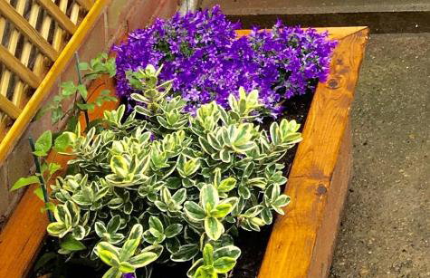 Apartment 61 - Foto 27