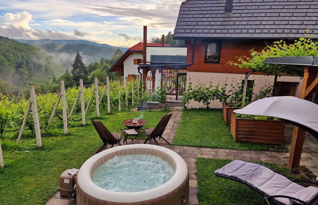 Vineyard cottage Matej - Foto 33