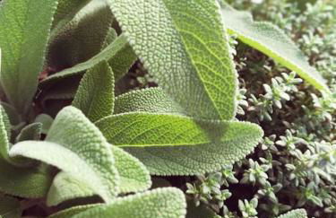 Le Patio 4*. SPA, jardin, piscine en provence, proche Grignan - Foto 41