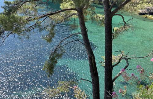 Aquarium Apt SML - Parcheggio Gratis, Terrazzo - Foto 26