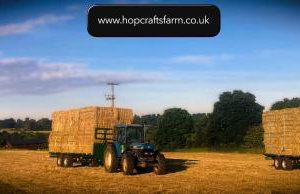 Modern Barn Conversion - Photo 2