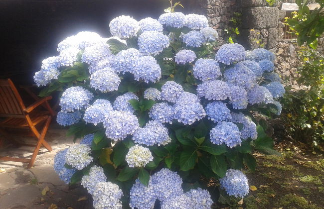 Aborigen Bimbache Casa Rural - Foto 31