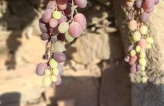 White House Mochlos - Foto 15