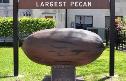 Elm Street Cottage - Foto 21