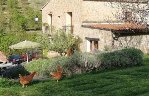 viva el vino - Foto 17