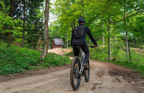 The Cozy Chalet - Foto 59