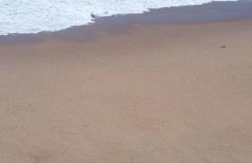 Dona Marta - Foto 66