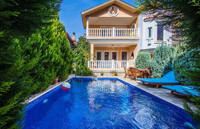 Dalyan Palace - Photo 58