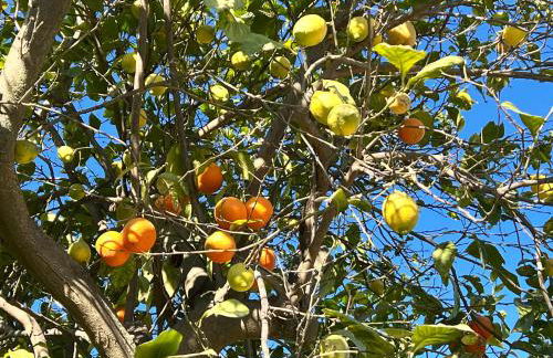 Casa De Chenil - Caminito del Rey - Foto 33