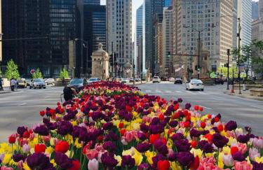 Entire Apartment in heart of Lincoln Park & Lake Sea and beach - Foto 14