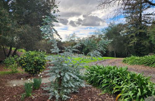 Amitabha Wine Country Cottage - Foto 14