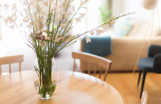 Apartamentos Santa Maria - Foto 15