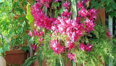 Casa San Biagio - Foto 4