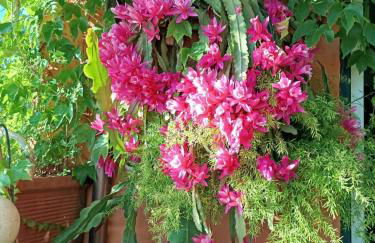 Casa San Biagio - Foto 4