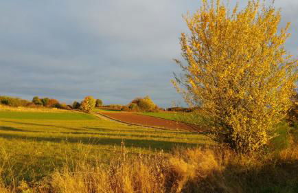 Ferienwohnung Auszeit - Foto 19