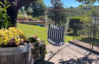 Casa Solatii Montefioralle - Foto 8