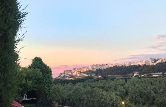 Masseria La Chiusa Delle More - Foto 33