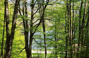 Chalet del Lago Laceno - Foto 76