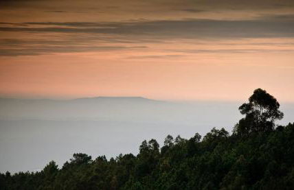 Quinta da Palmeira - Country House Retreat & Spa - Foto 77