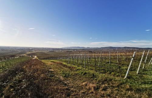 Ferienwohnung Haus Willi - Foto 31