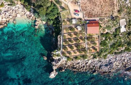 Seaside house for families with children Postup, Peljesac - 20849 - Photo 17