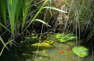 Charmante petite maison de pays à 200 m du Golfe - Foto 33