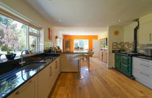 The Quackery - Foto 27