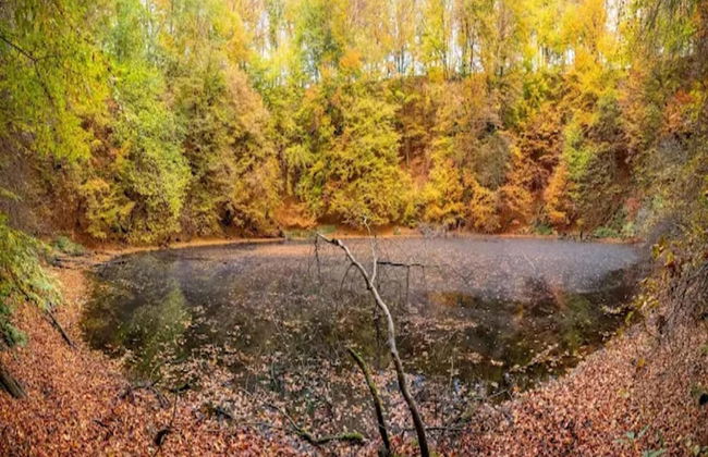 Ferienwohnung mit Garten auf dem Bauernhof - Foto 31