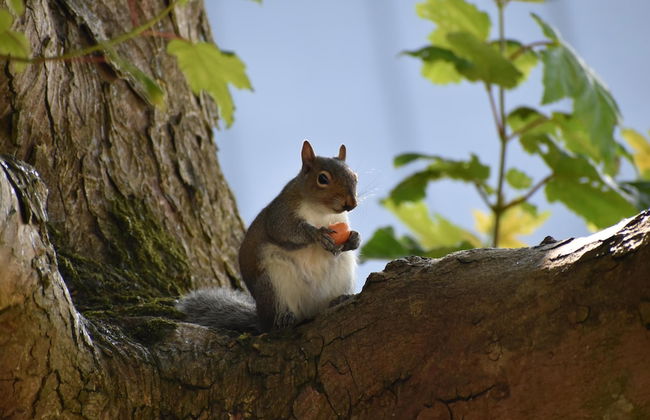 Mongolian Yurts Fordhall Organic Farm - Photo 20