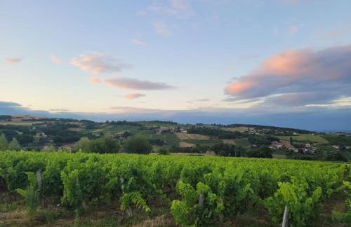 Beaujolais - Maison pierres dorées - Foto 41
