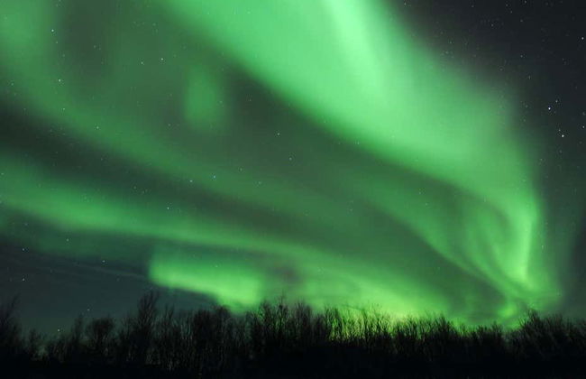Tour de la aurora boreal en raquetas de nieve - Foto 4