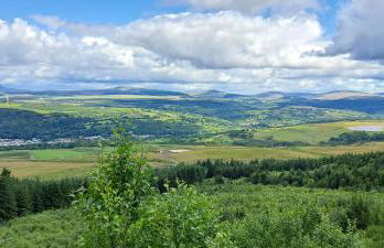 Elm Grove - Photo 20