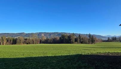 Vierländereck - Suites - Leiblachtal - Foto 5