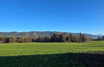 Vierländereck - Suites - Leiblachtal - Foto 5