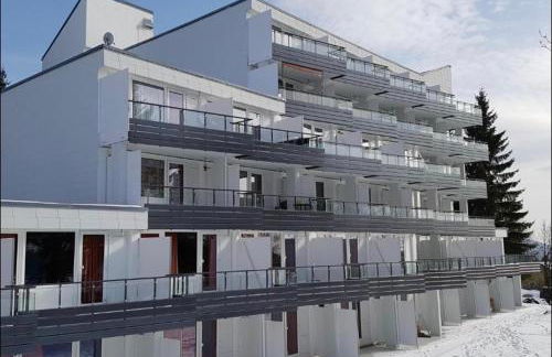 Appartement Hüttenzauber in Sankt Englmar - Foto 37