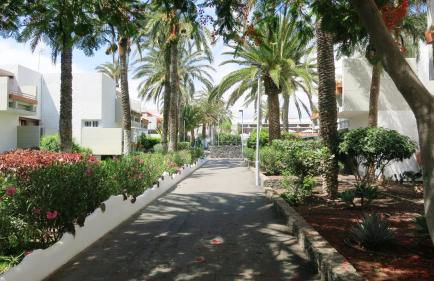 South Tenerife 471 - Foto 39