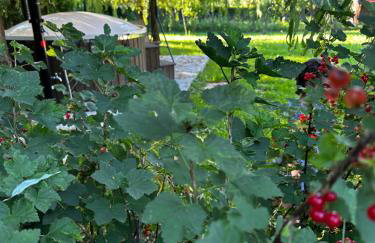 Kuća za odmor Zora - Foto 43