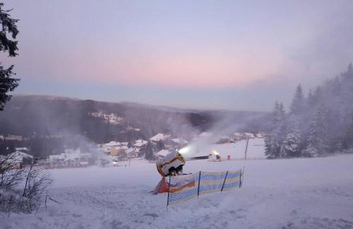 Winterwohnung Almberg - Foto 23