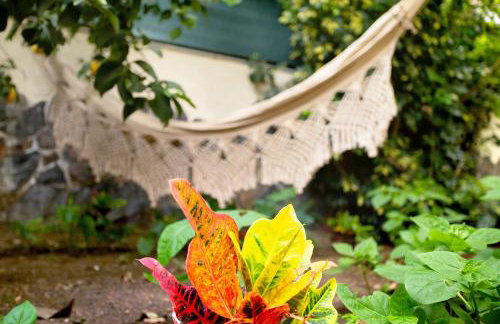 Carmelo y Carmela 1 - Foto 22