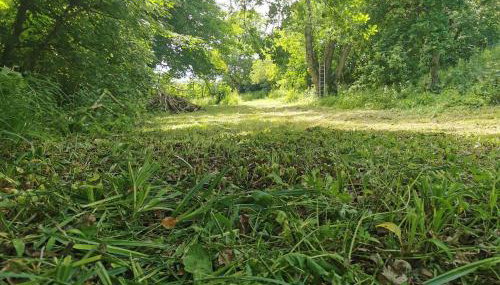 THE OLD RECTORY ROSE COTTAGE in Jacobstow 10 mins to Widemouth bay and Crackington Haven,Nearby Bude,Tintagel,Port Issac,Clovelly,PARKING FOR LARGE AND MULTIPLE VEHICLES - Foto 5, Garden