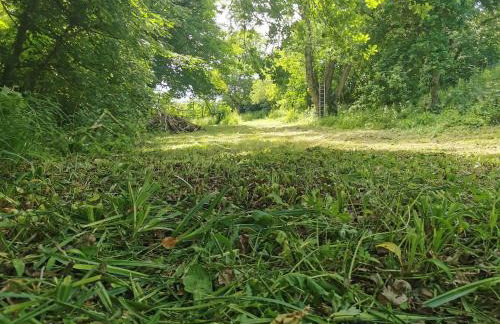 THE OLD RECTORY ROSE COTTAGE in Jacobstow 10 mins to Widemouth bay and Crackington Haven,Nearby Bude,Tintagel,Port Issac,Clovelly,PARKING FOR LARGE AND MULTIPLE VEHICLES - Foto 5