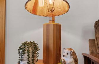 Secluded Cottage with hot tub, fire pit, and views - Foto 5