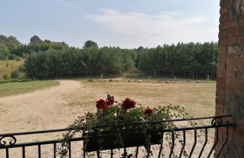 Mazurska Knieja - Foto 23