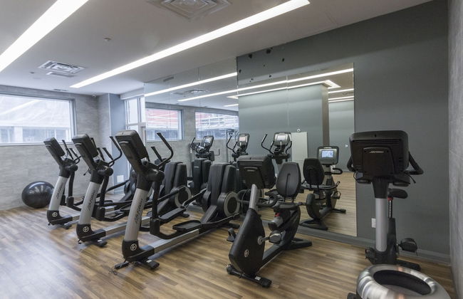 QuickStay - Luxury Executive in Yorkville (Yonge & Bloor) - Photo 19