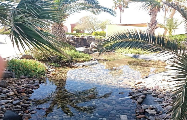 Condo Bella Sirena 805 C by Kivoya - Foto 35