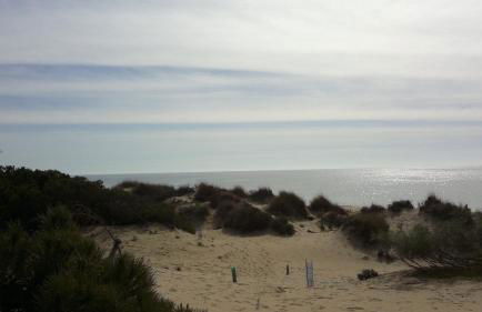 Duplex en Huelva a 15 minutos en coche de las mejores playas de España - Foto 19