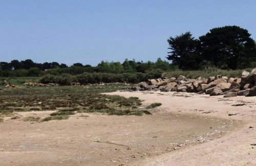 Résidence G104-ile Grande - Les Dunes maison avec jardin clos à Ile Grande MAE-3434 - Foto 14