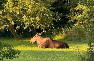 Między Wodami - Foto 80