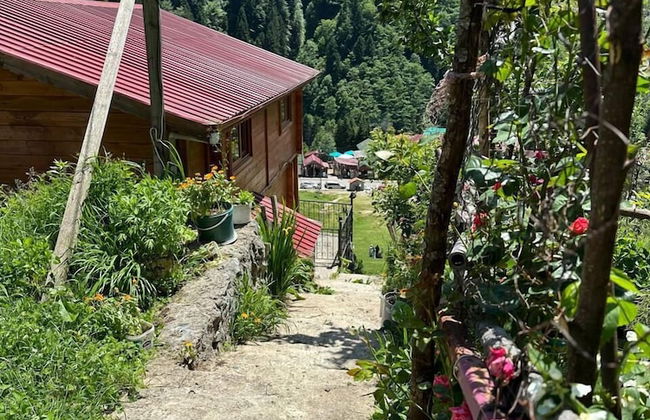 Ayder Yardımcı Apart - Foto 36